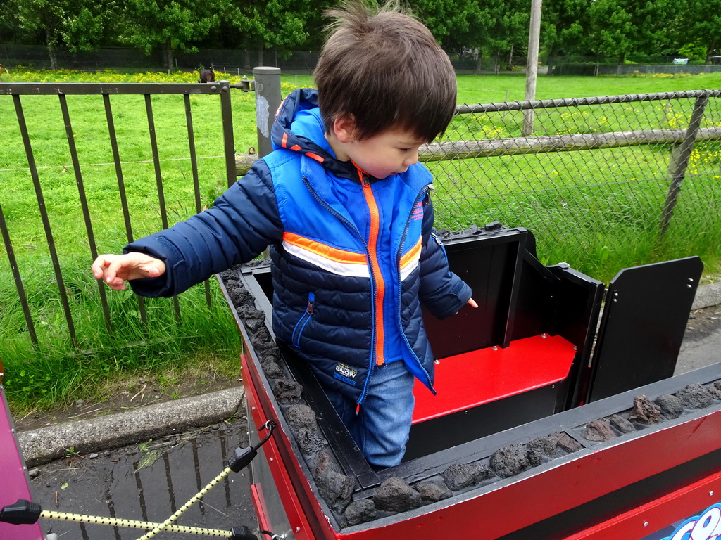 Max in the train at the Húsdýragarðurinn zoo