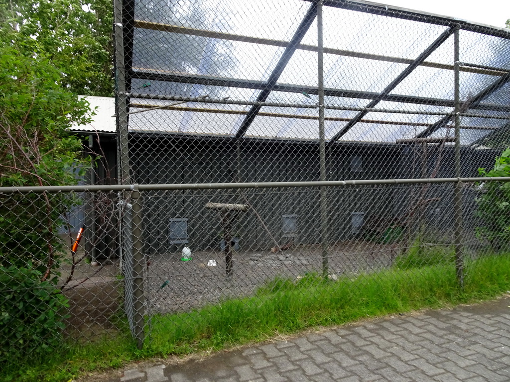 Birds at the Húsdýragarðurinn zoo, viewed from the train