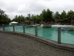 Seals at the Húsdýragarðurinn zoo, viewed from the train