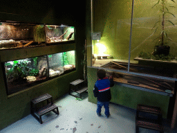 Max at the Reptile House at the Húsdýragarðurinn zoo