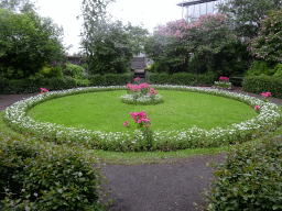 The Alþingisgarðurinn garden