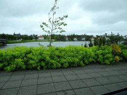 The Tjörnin lake, viewed from the rental car on the Fríkirkjuvegur street