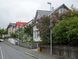 Houses at the Tjarnargata street