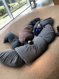 Max in pillows at the Visitor Center Veluwezoom