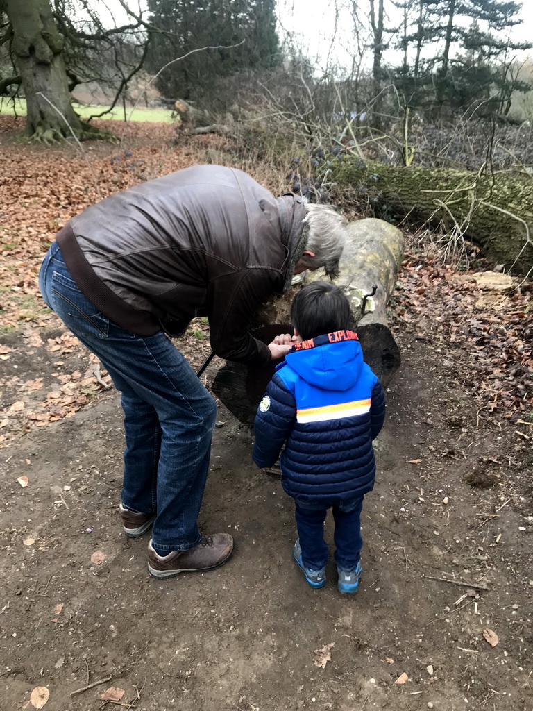 Max and his grandfather at a tree trunk with a gnome house at the National Park Veluwezoom