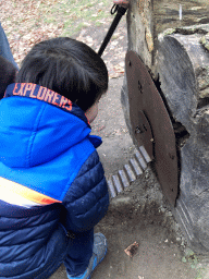 Max at a tree trunk with a gnome house at the National Park Veluwezoom