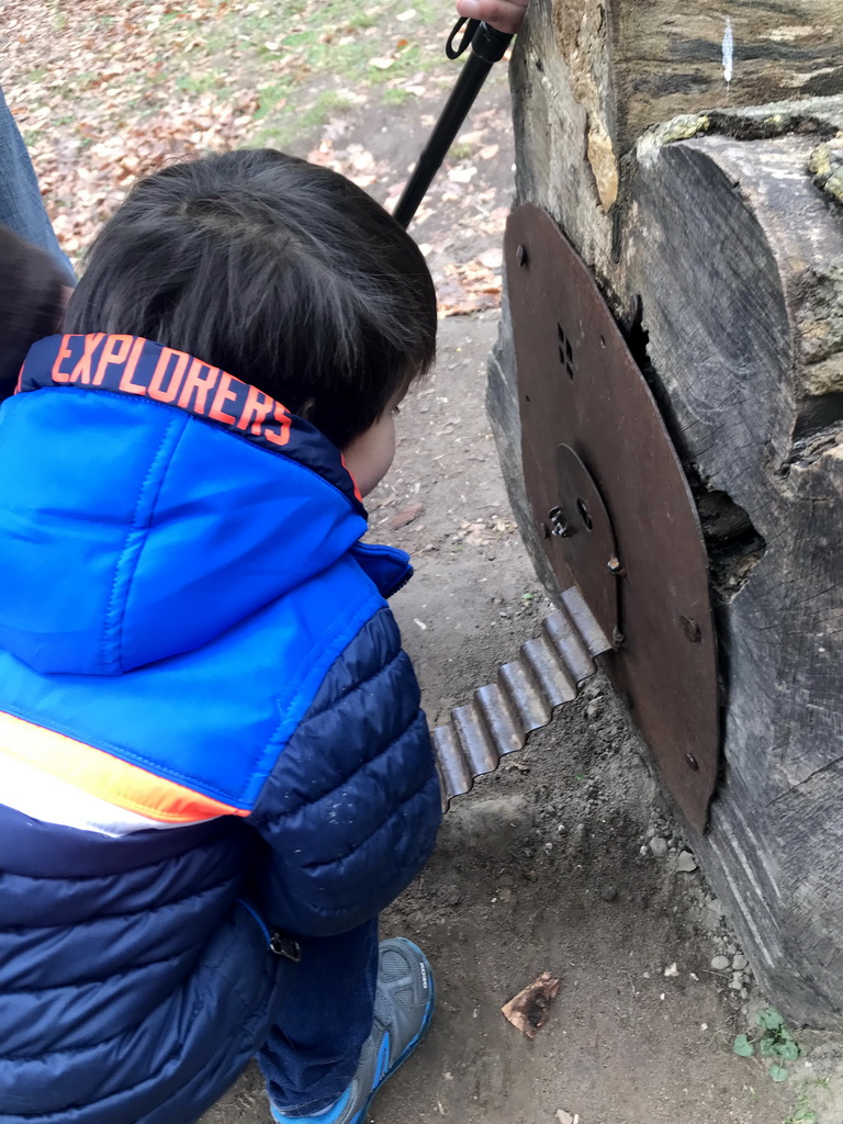 Max at a tree trunk with a gnome house at the National Park Veluwezoom