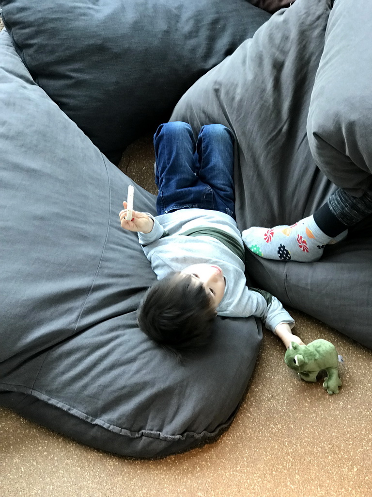 Max with a frog toy in pillows at the Visitor Center Veluwezoom