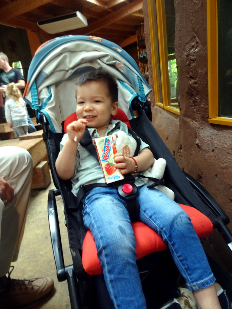 Max having a drink in the Africa House of the Ouwehands Dierenpark zoo