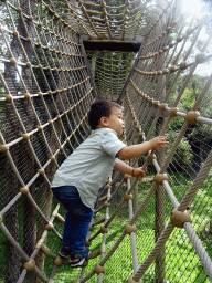 Max at a wire bridge at the Berenbos Expedition at the Ouwehands Dierenpark zoo