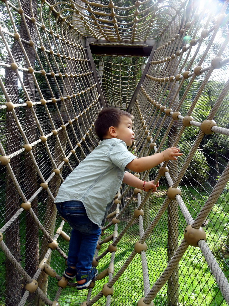 Max at a wire bridge at the Berenbos Expedition at the Ouwehands Dierenpark zoo