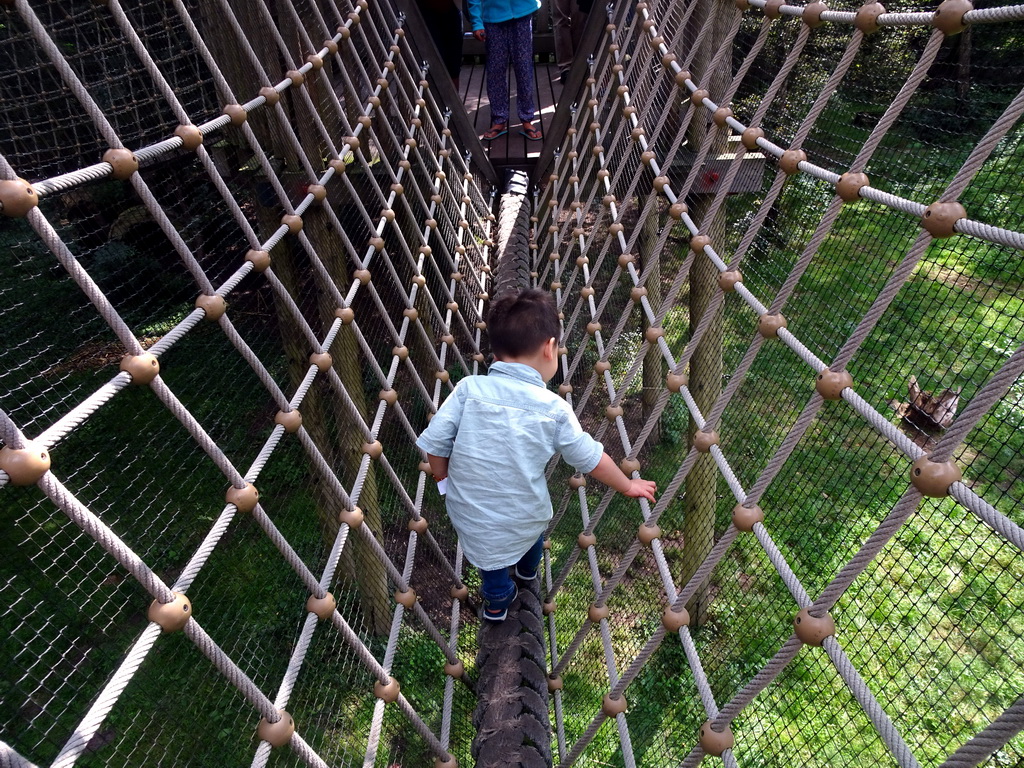 Max at a wire bridge at the Berenbos Expedition at the Ouwehands Dierenpark zoo