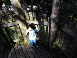 Max at the Berenbos Expedition at the Ouwehands Dierenpark zoo