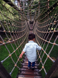 Max at a wire bridge at the Berenbos Expedition at the Ouwehands Dierenpark zoo