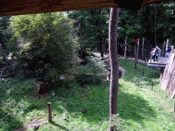 The Berenbos Expedition at the Ouwehands Dierenpark zoo