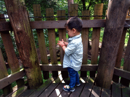 Max at the Berenbos Expedition at the Ouwehands Dierenpark zoo