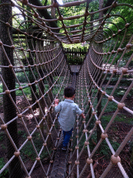 Max at a wire bridge at the Berenbos Expedition at the Ouwehands Dierenpark zoo