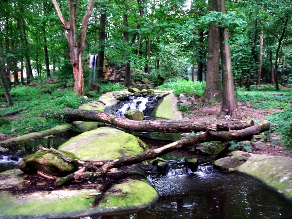 Waterfall at the Berenbos Expedition at the Ouwehands Dierenpark zoo