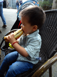 Max having a hotdog at the Iglo restaurant at the Ouwehands Dierenpark zoo
