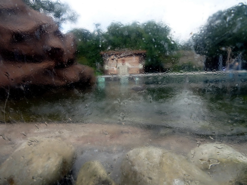 View from the glass dome at the residence of the Humboldt Penguins at the Ouwehands Dierenpark zoo