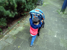 Max pushing his trolley at the Wad at the Ouwehands Dierenpark zoo