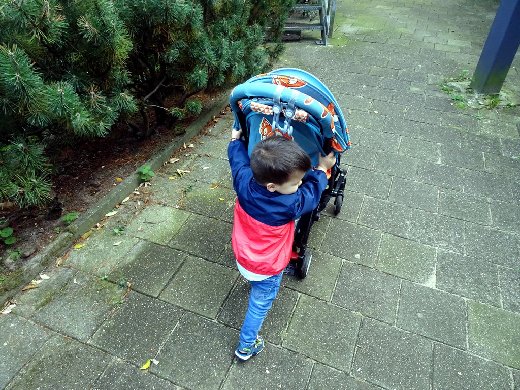 Max pushing his trolley at the Wad at the Ouwehands Dierenpark zoo