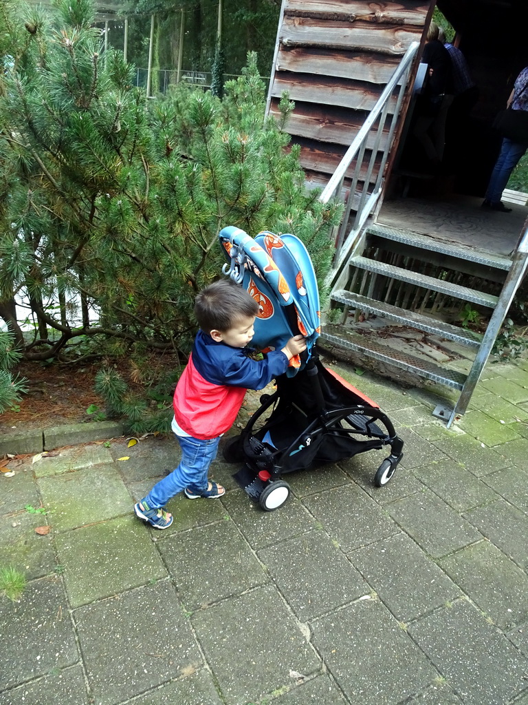 Max pushing his trolley at the Wad at the Ouwehands Dierenpark zoo