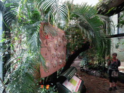 Interior of the Urucu building at the Ouwehands Dierenpark zoo