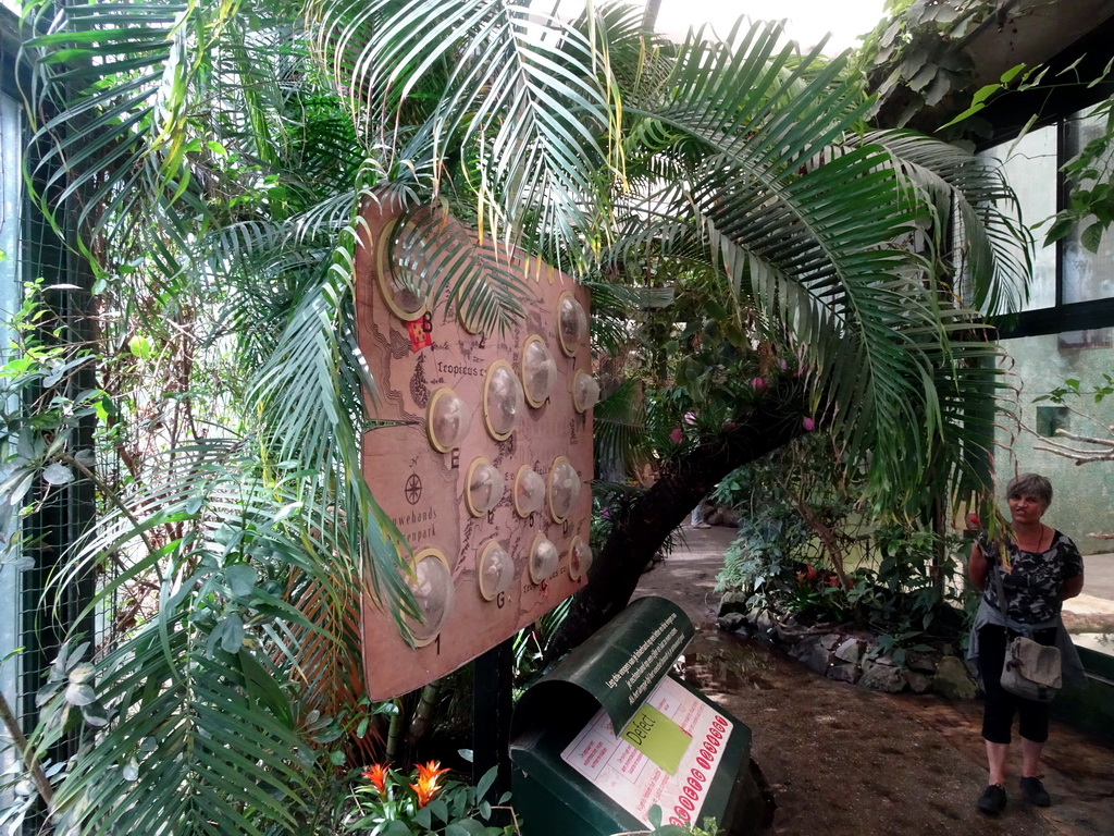 Interior of the Urucu building at the Ouwehands Dierenpark zoo