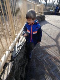 Max looking at an Ostrich at the Ouwehands Dierenpark zoo