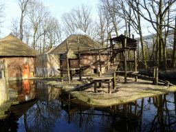 Mandrill enclosure at the Ouwehands Dierenpark zoo