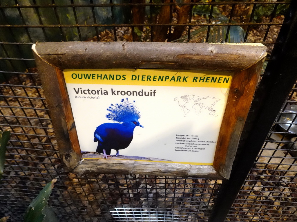Explanation on the Victoria Crowned Pigeon at the Aviary of the Ouwehands Dierenpark zoo