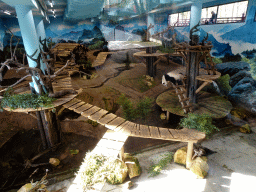 The Giant Panda `Wu Wen` in her residence at Pandasia at the Ouwehands Dierenpark zoo