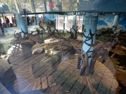 The Giant Panda `Wu Wen` in her residence at Pandasia at the Ouwehands Dierenpark zoo