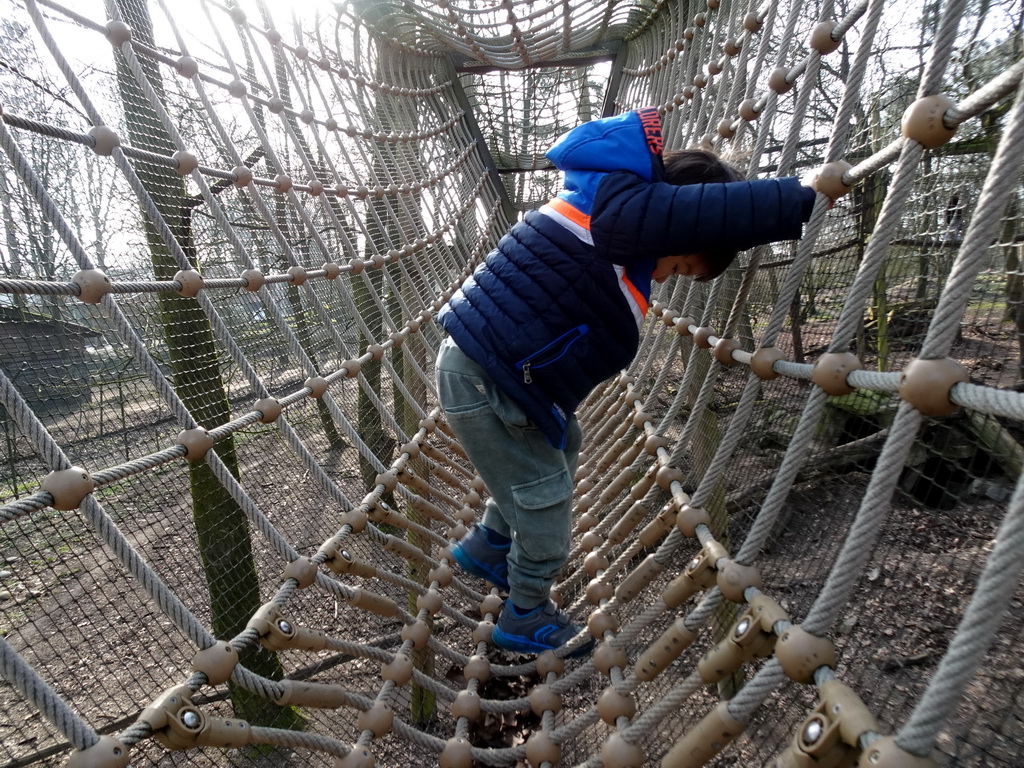 Max on a wire bridge at the Berenbos Expedition at the Ouwehands Dierenpark zoo