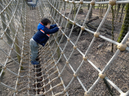 Max on a wire bridge above a Wolf at the Berenbos Expedition at the Ouwehands Dierenpark zoo