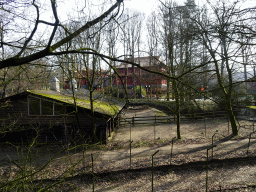 The Wolf enclosure at the Berenbos Expedition and Pandasia at the Ouwehands Dierenpark zoo, viewed from a platform