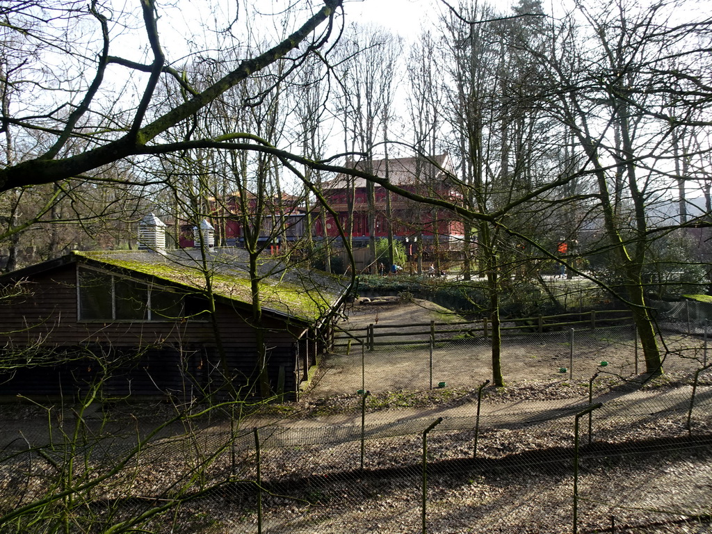 The Wolf enclosure at the Berenbos Expedition and Pandasia at the Ouwehands Dierenpark zoo, viewed from a platform