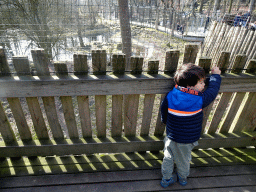 Max on a platform at the Berenbos Expedition at the Ouwehands Dierenpark zoo