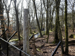 The Brown Bear enclosure at the Berenbos Expedition at the Ouwehands Dierenpark zoo