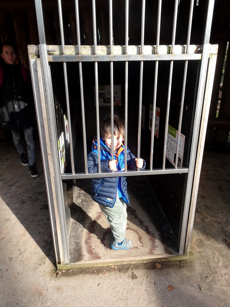 Max in a Bear cage at the Berenbos Expedition at the Ouwehands Dierenpark zoo