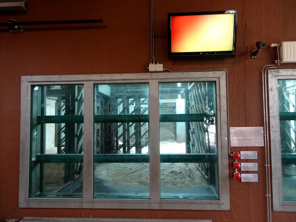 Indoor enclosure of the African Elephants at the Ouwehands Dierenpark zoo