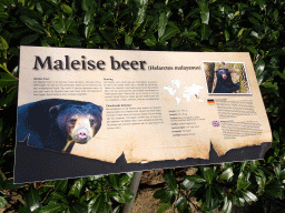 Explanation on the Sun Bear at the Ouwehands Dierenpark zoo