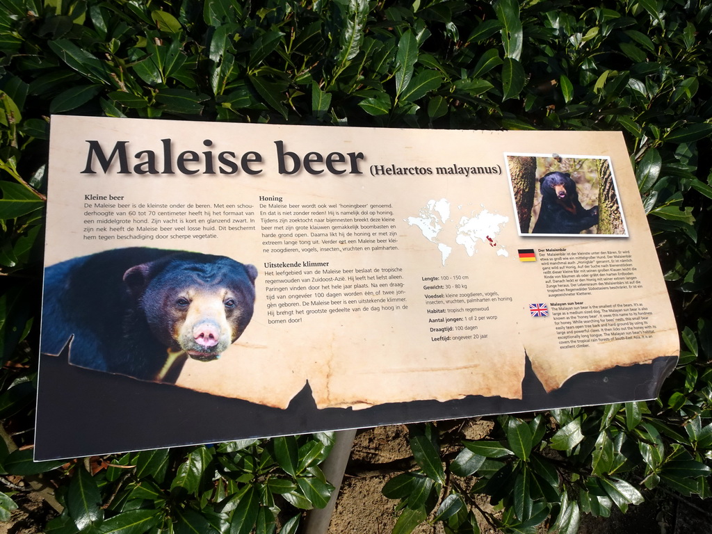 Explanation on the Sun Bear at the Ouwehands Dierenpark zoo