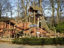 Barbary Macaques at the Ouwehands Dierenpark zoo