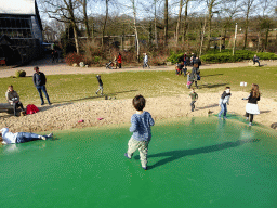 Max on the trampoline at the Ouwehands Dierenpark zoo