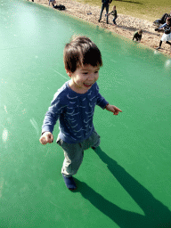 Max on the trampoline at the Ouwehands Dierenpark zoo