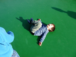 Max on the trampoline at the Ouwehands Dierenpark zoo