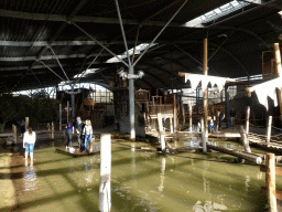 Interior of the RavotAapia building at the Ouwehands Dierenpark zoo