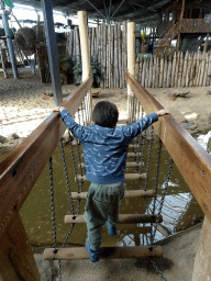 Max crossing a wire bridge at the RavotAapia building at the Ouwehands Dierenpark zoo